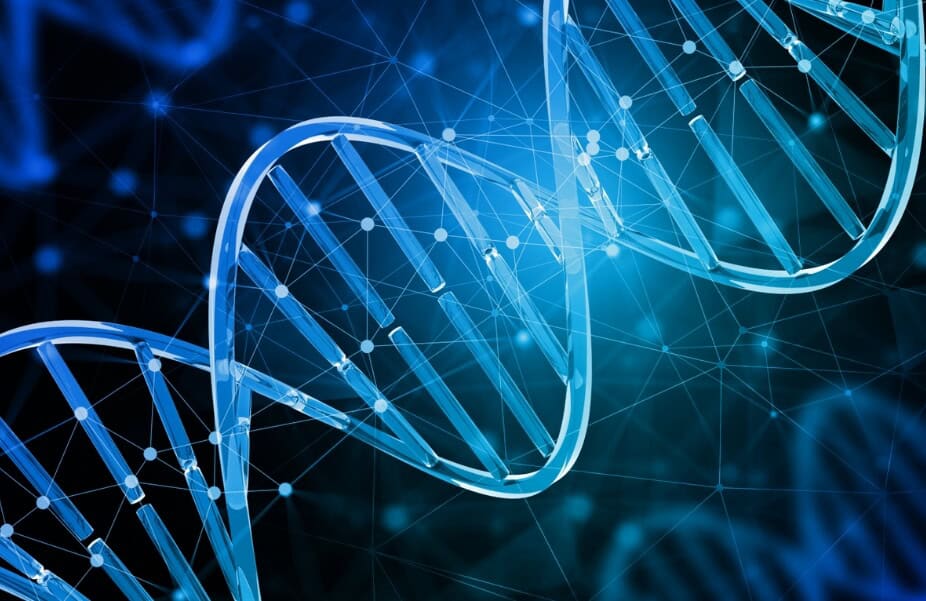 Human side of data culture
