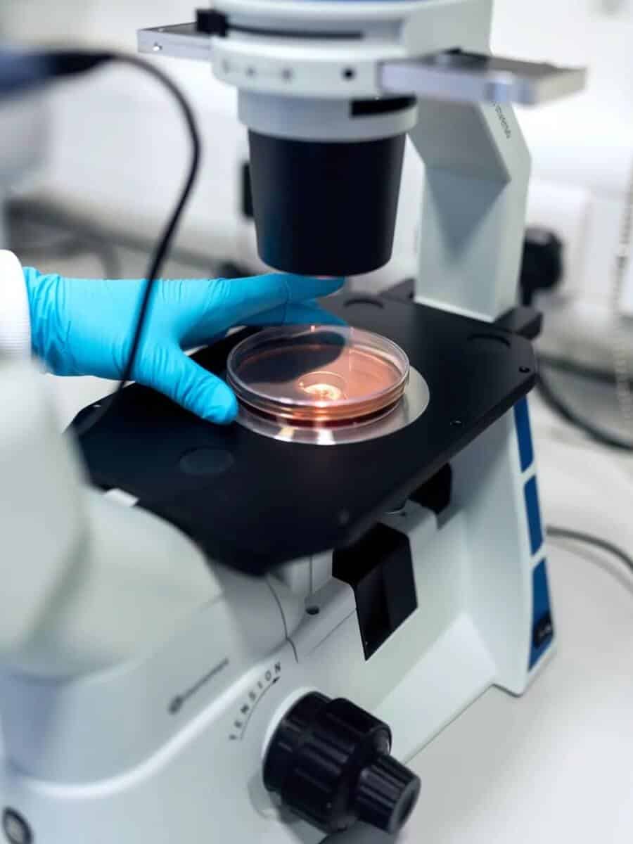 Microscope illustration