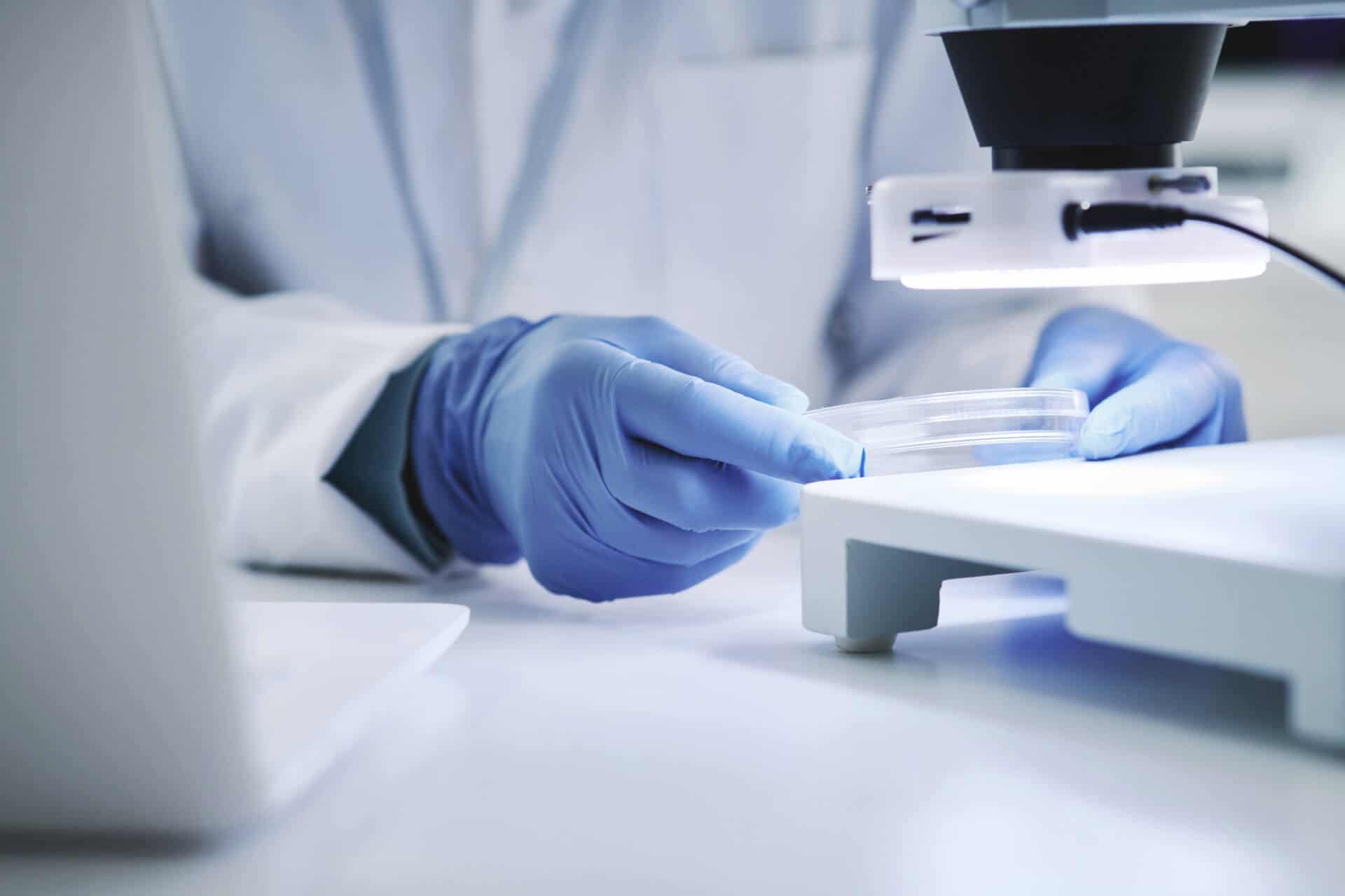 Gloved hands examining petri dish